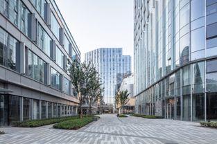 全新娱乐城,打造极致娱乐体验的梦幻乐园